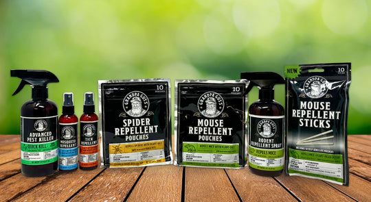 deal banner image_11